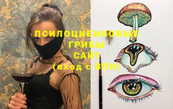 мдпв Касимов