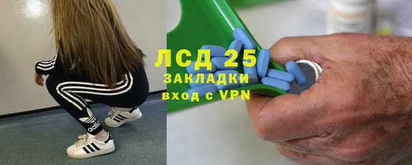 эйфоретик Карпинск