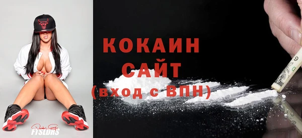 мдпв Касимов