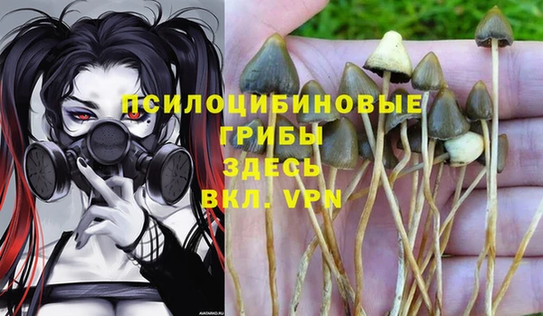 эйфоретик Карпинск