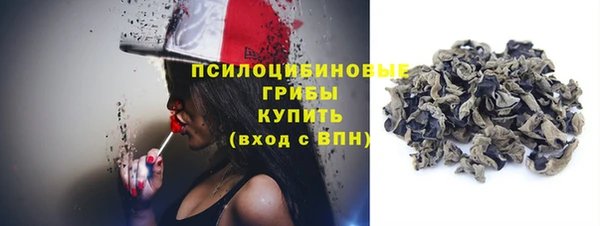 мдпв Касимов