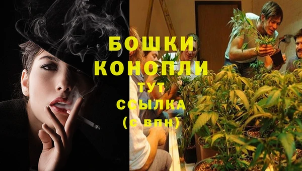 эйфоретик Карпинск