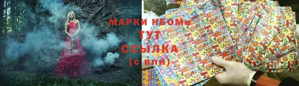 мдпв Касимов