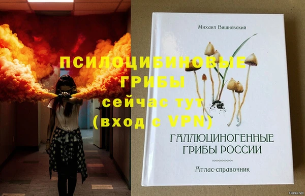 эйфоретик Карпинск