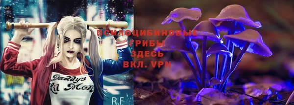 мдпв Касимов